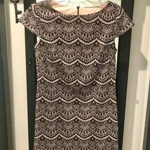 Eliza J Lace Sheath Dress ~  Beautiful for Xmas Cocktails!